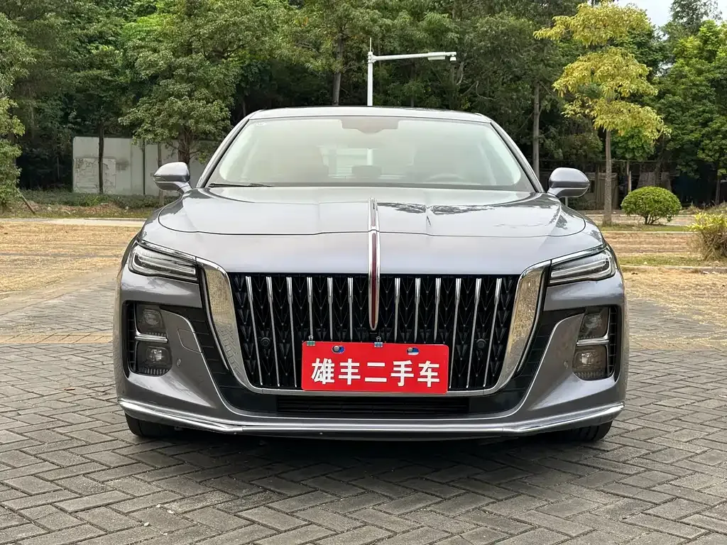 Hongqi H5 2023 из CN, фото 2