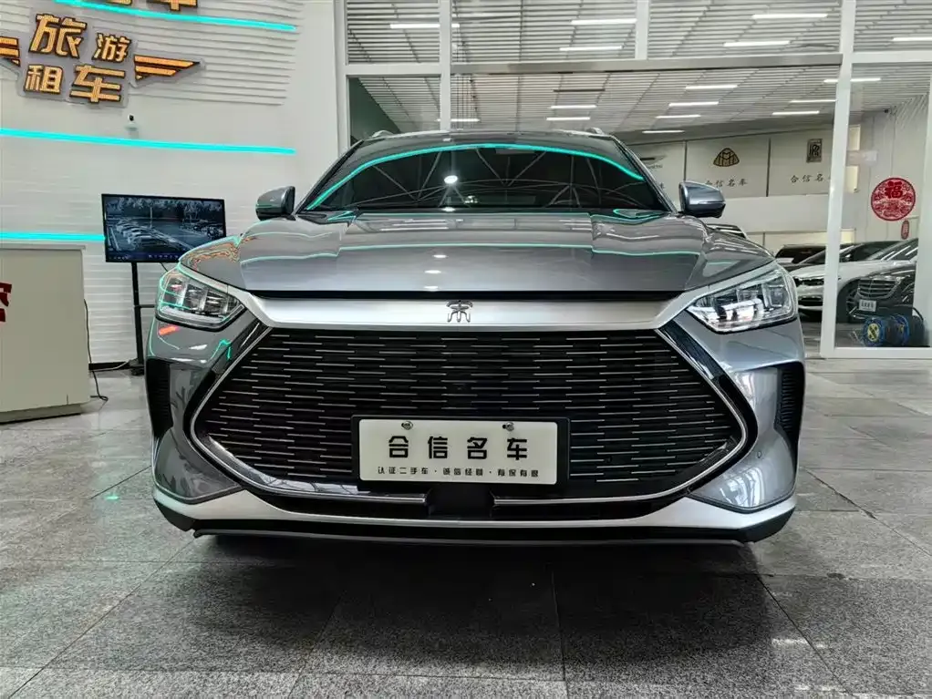 BYD PLUS New Energy — фото 2