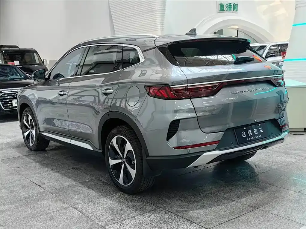 BYD PLUS New Energy — фото 4
