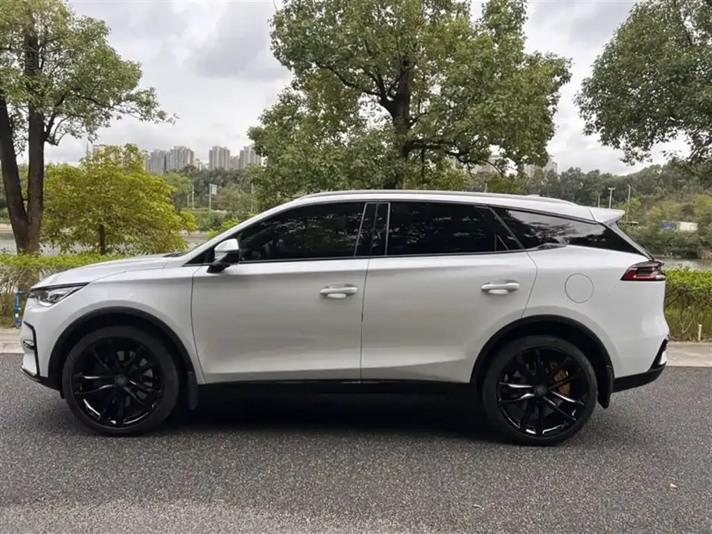 BYD Tang New Energy 2021 из CN, фото 10