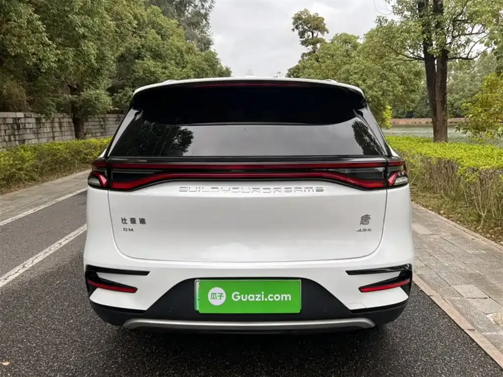 BYD Tang New Energy 2021 из CN, фото 9