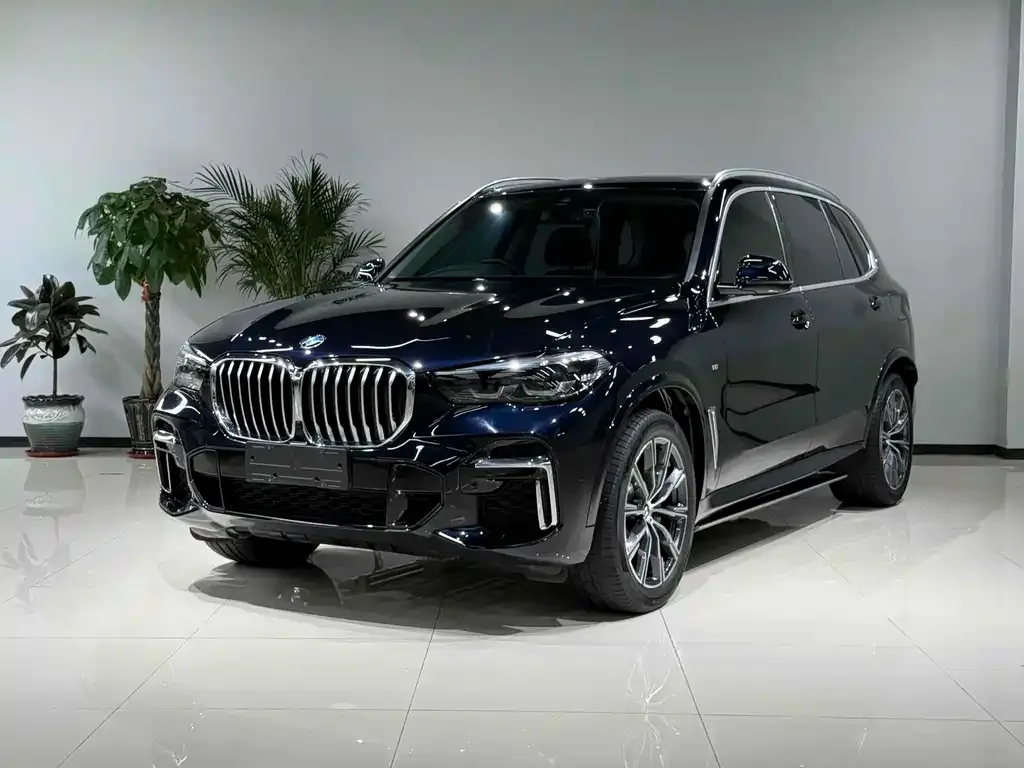 BMW X5 2023 из CN, фото 1