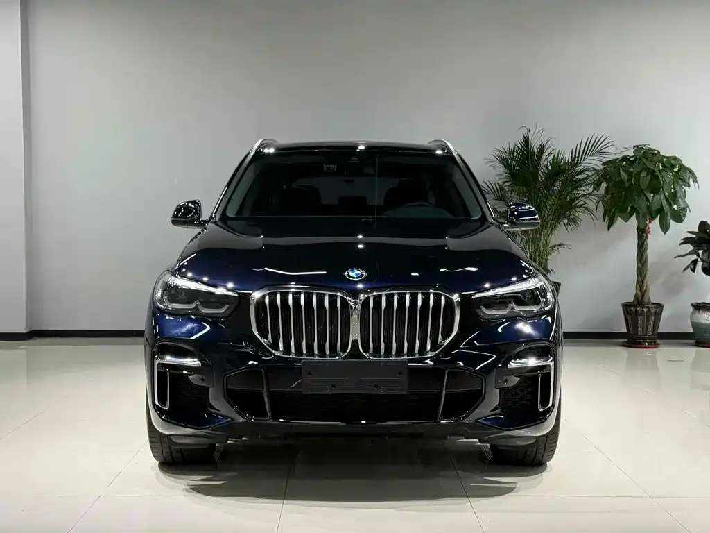 BMW X5 2023 из CN, фото 2
