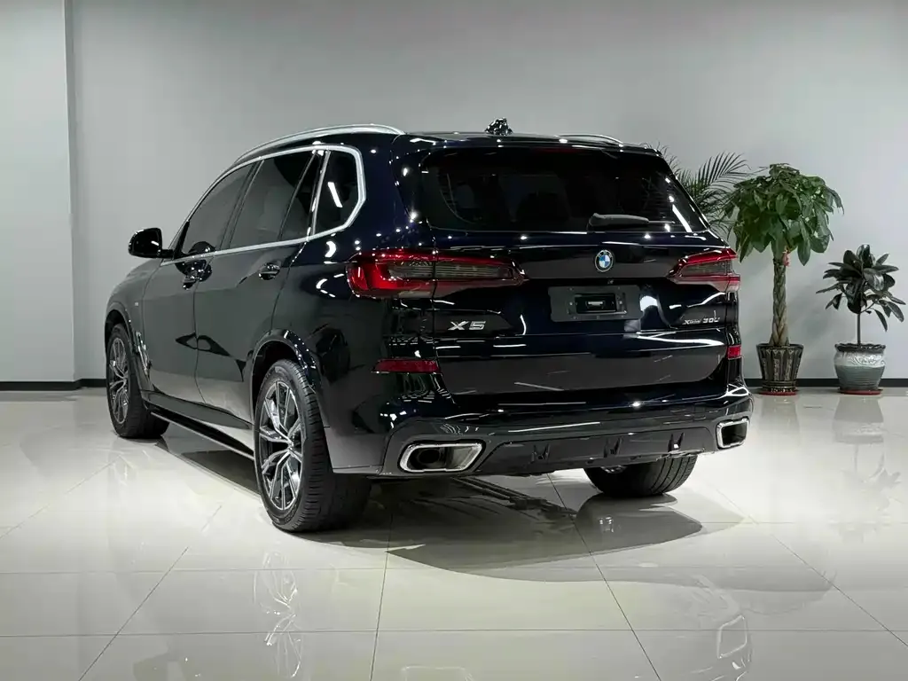 BMW X5 2023 из CN, фото 4