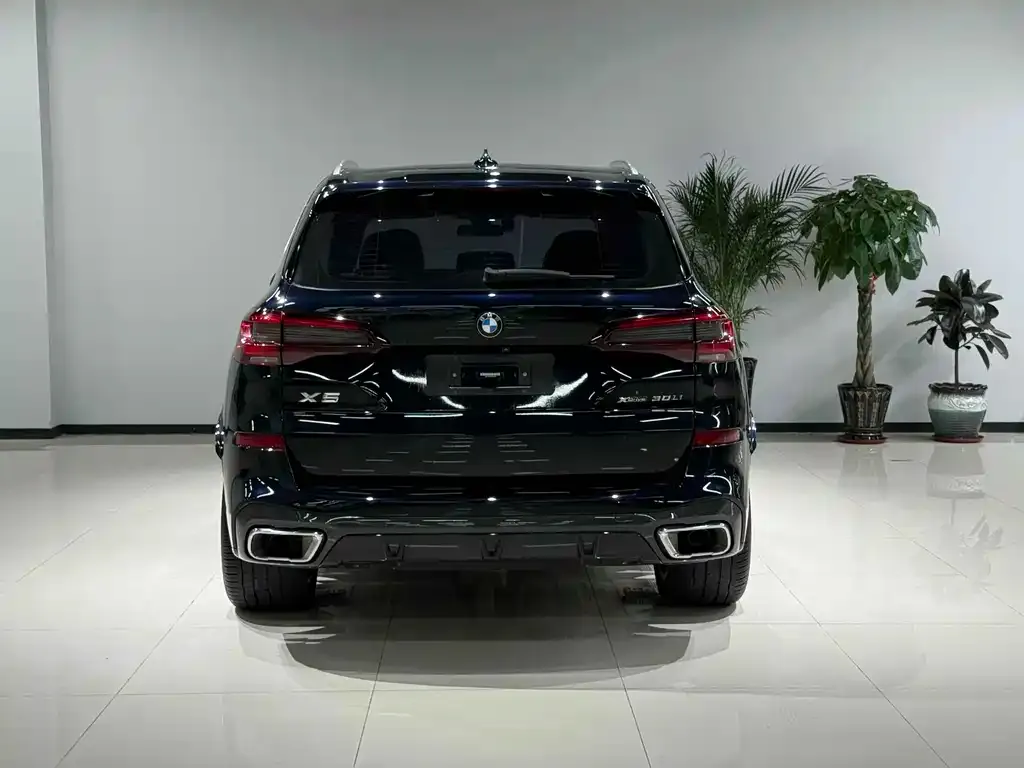 BMW X5 2023 из CN, фото 5
