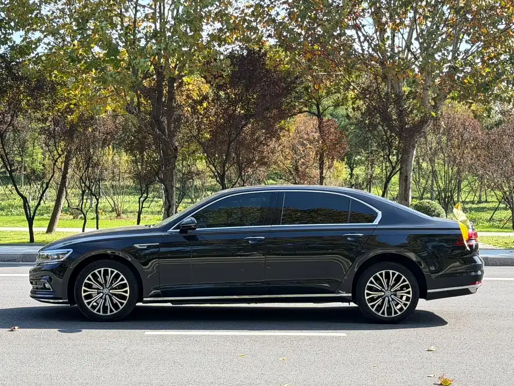 Volkswagen Phideon 2021 из CN, фото 10