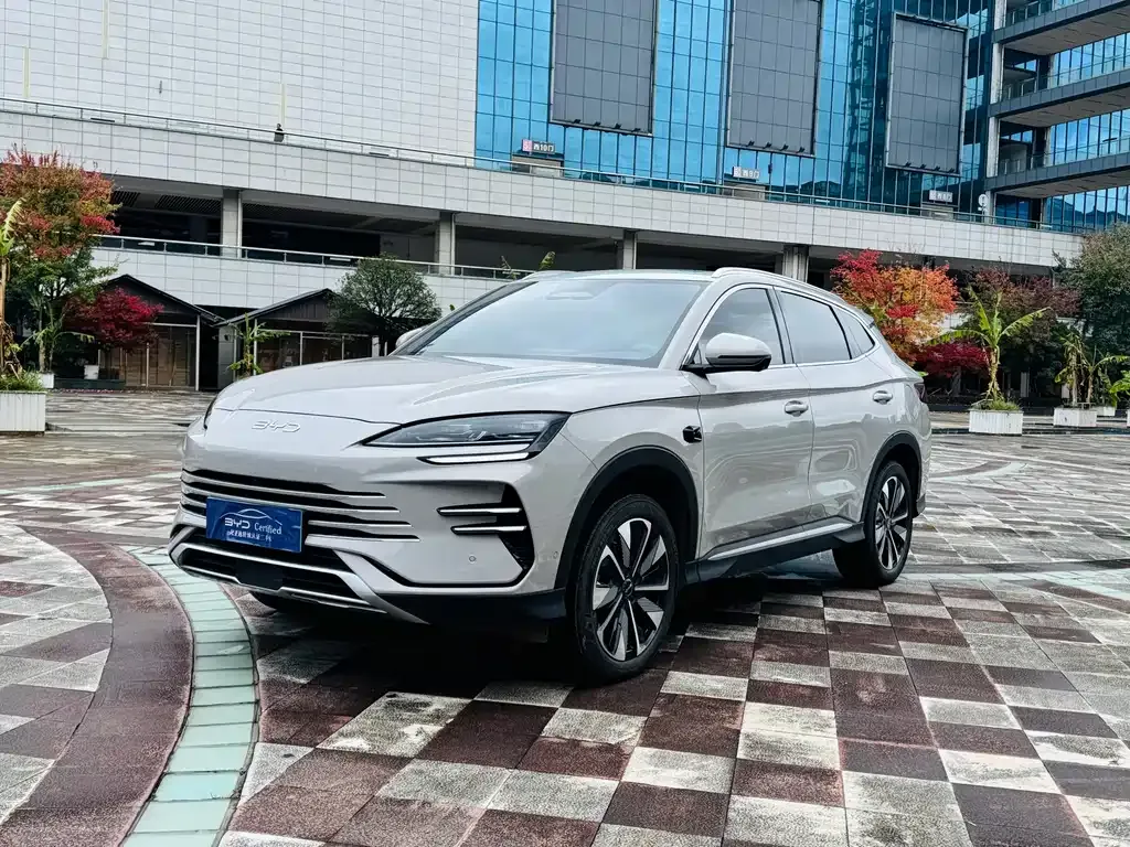 BYD PLUS New Energy 2025 из CN, фото 1