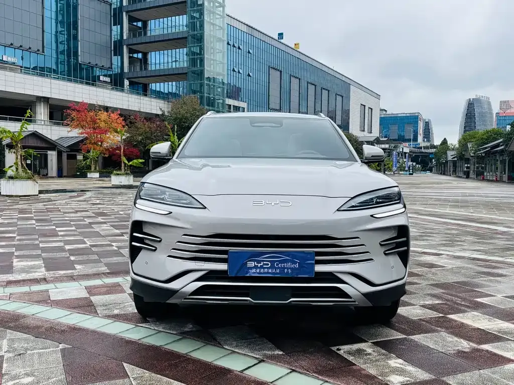BYD PLUS New Energy 2025 из CN, фото 2