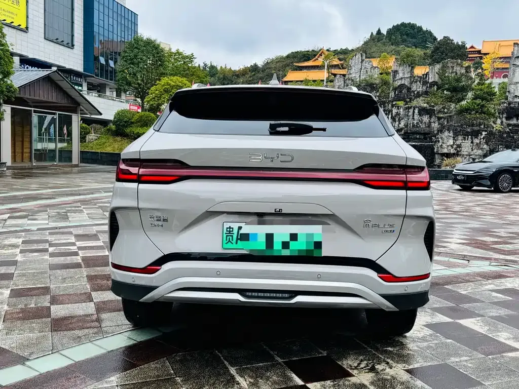 BYD PLUS New Energy 2025 из CN, фото 4