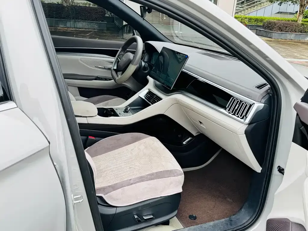 BYD PLUS New Energy 2025 из CN, фото 8