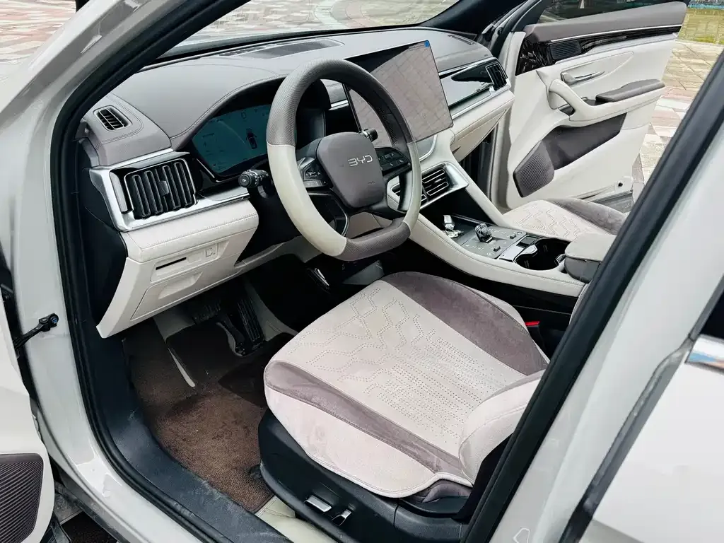 BYD PLUS New Energy 2025 из CN, фото 9