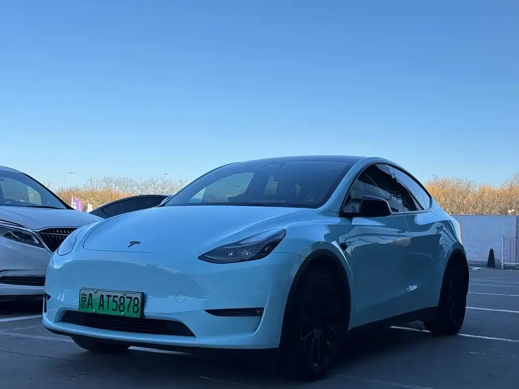 Tesla Model Y 2021 из CN, фото 1