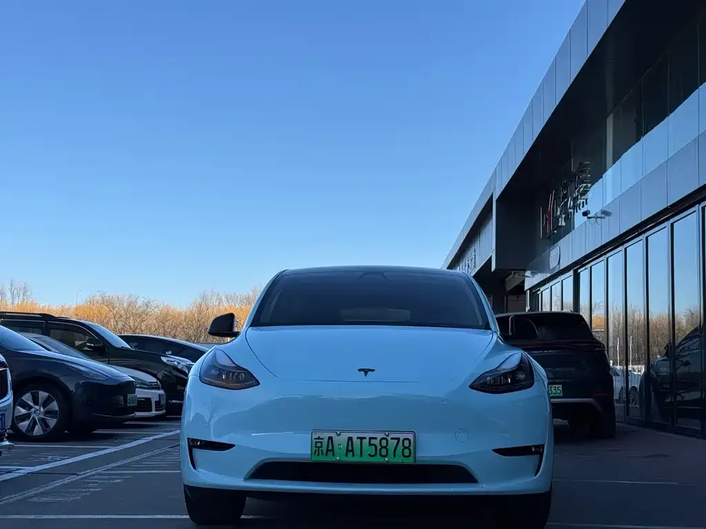 Tesla Model Y 2021 из CN, фото 2