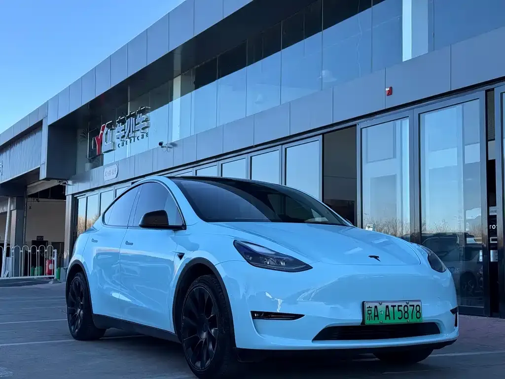 Tesla Model Y 2021 из CN, фото 3