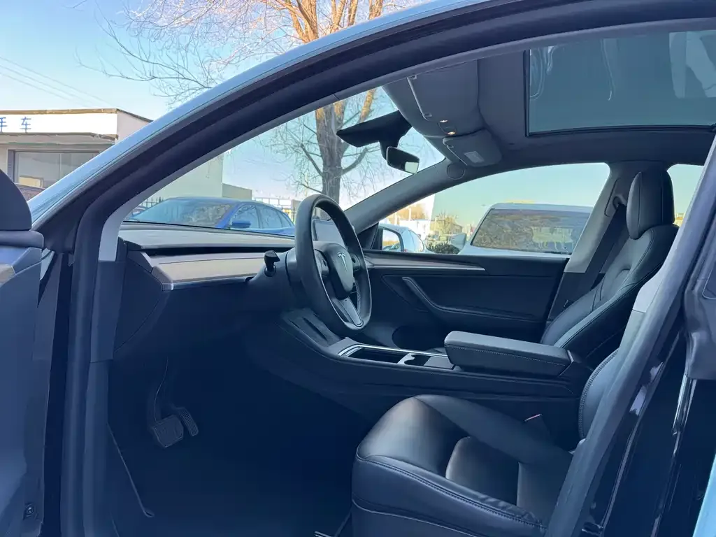 Tesla Model Y 2021 из CN, фото 4