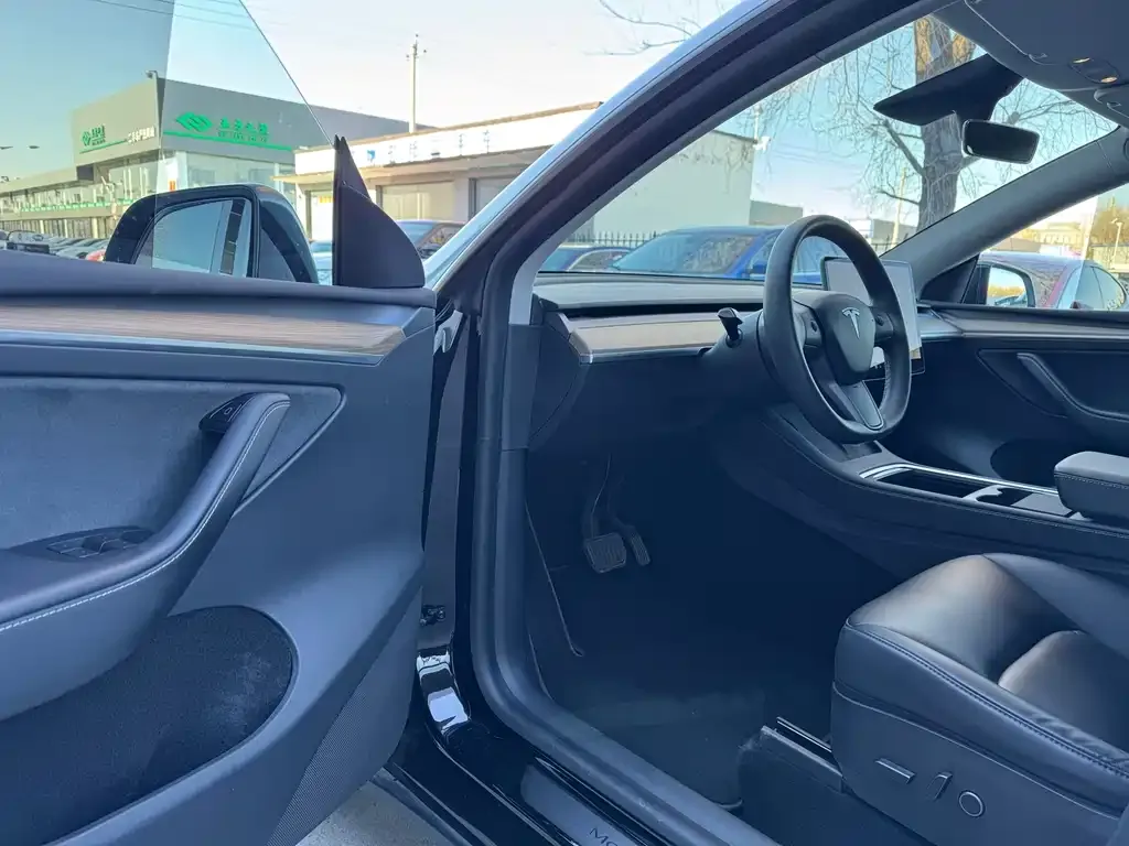 Tesla Model Y 2021 из CN, фото 5