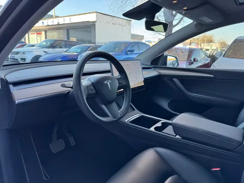 Tesla Model Y 2021 из CN, фото 7