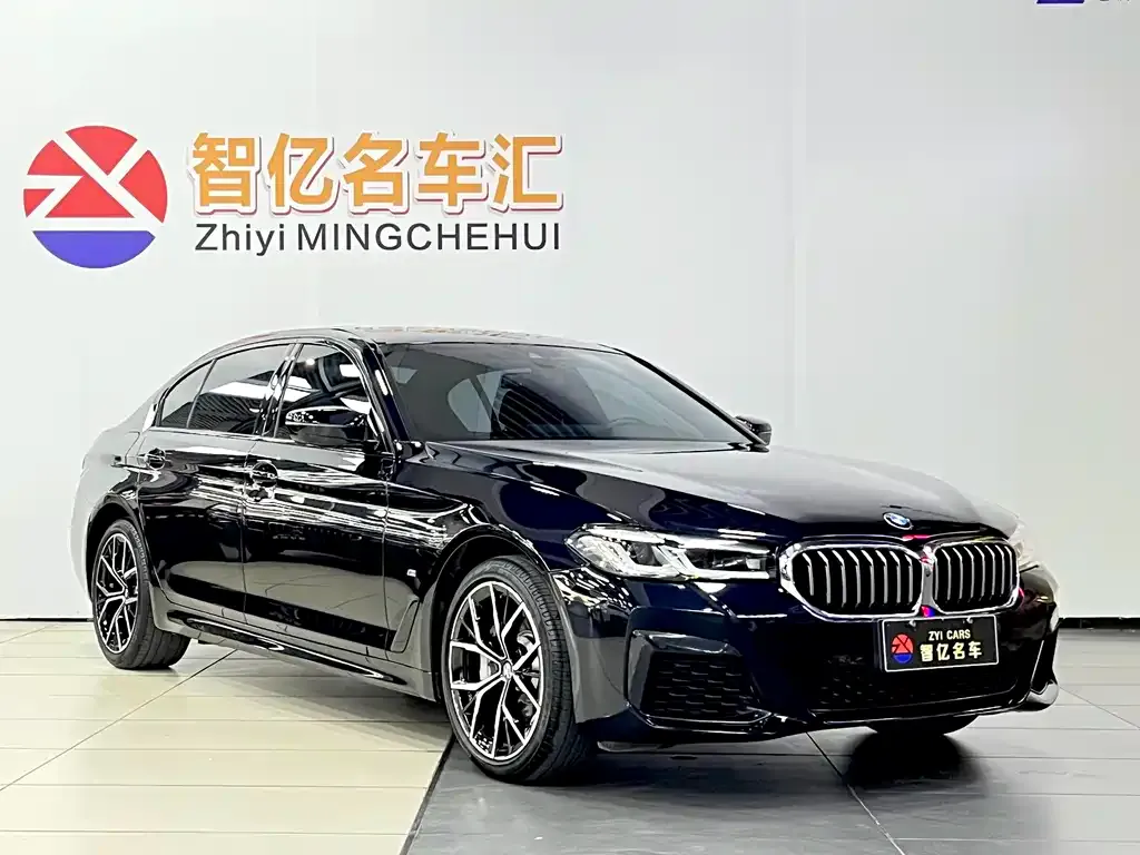 BMW 5 Series 2022 из CN, фото 3