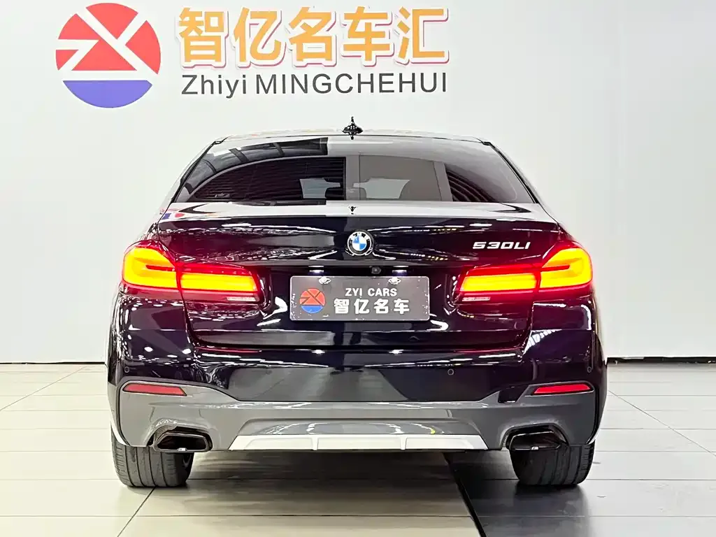 BMW 5 Series 2022 из CN, фото 6