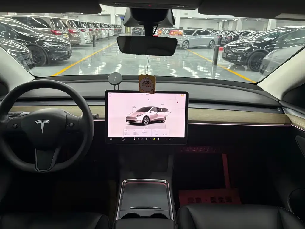 Tesla Model Y 2022 из CN, фото 6