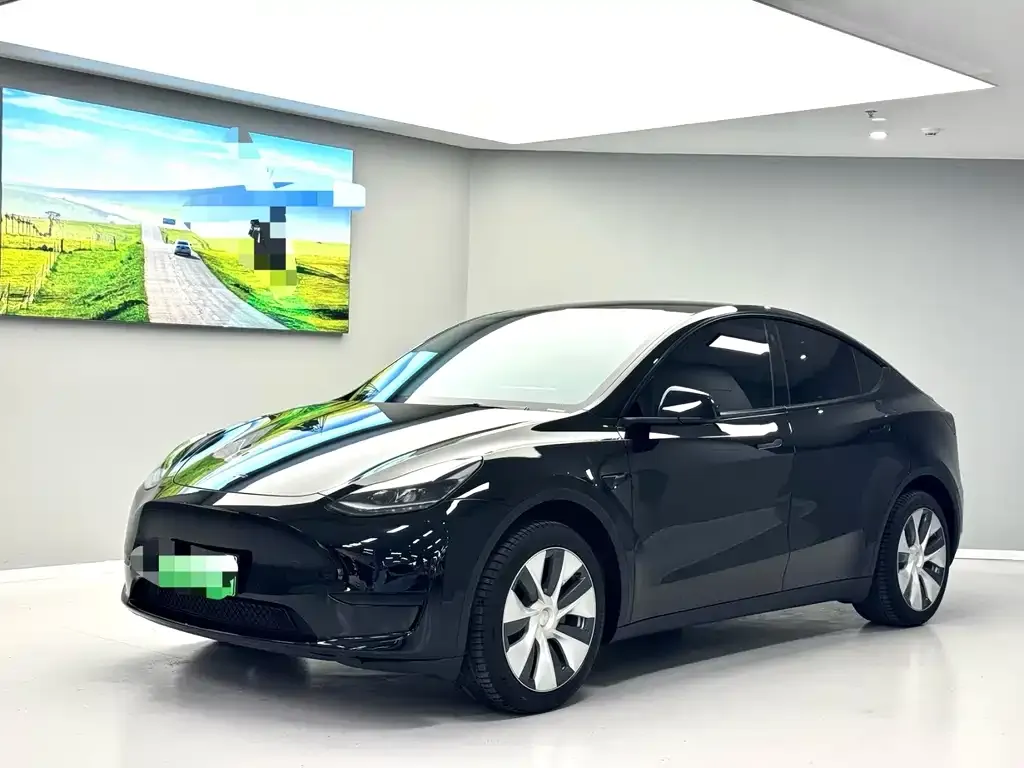 Tesla Model Y 2022 из CN, фото 1