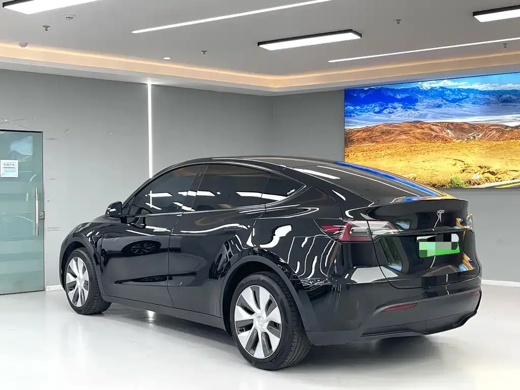 Tesla Model Y 2022 из CN, фото 6