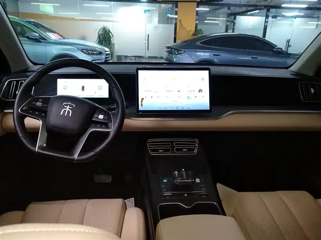 BYD Pro New Energy 2025 из CN, фото 10