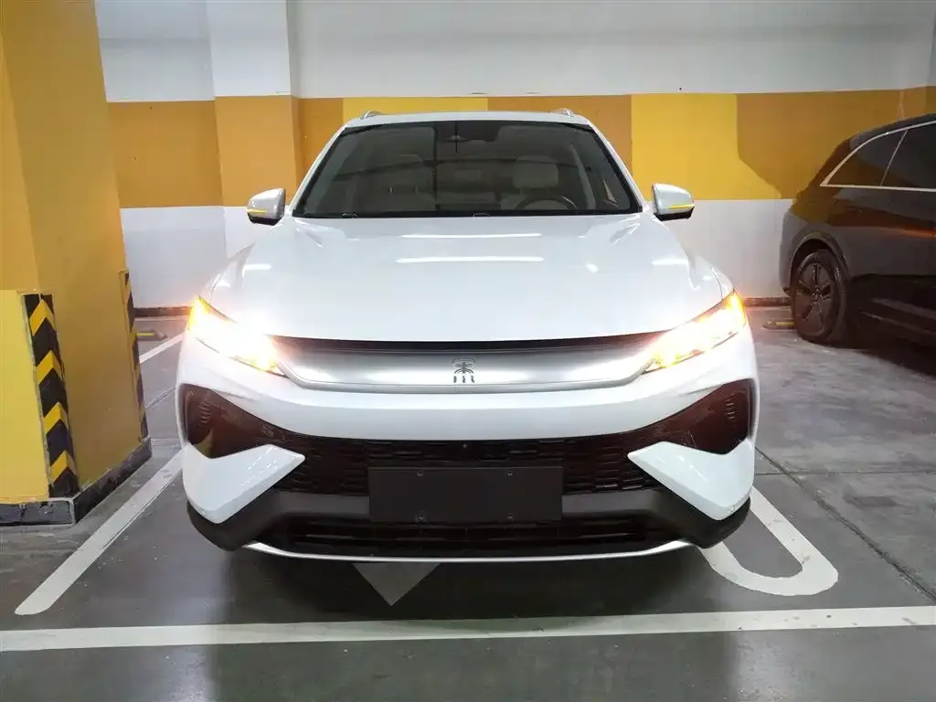 BYD Pro New Energy 2025 из CN, фото 3