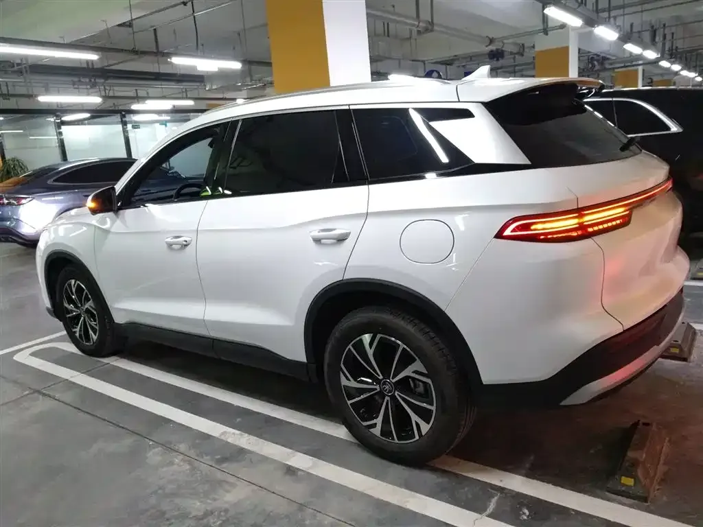 BYD Pro New Energy 2025 из CN, фото 5