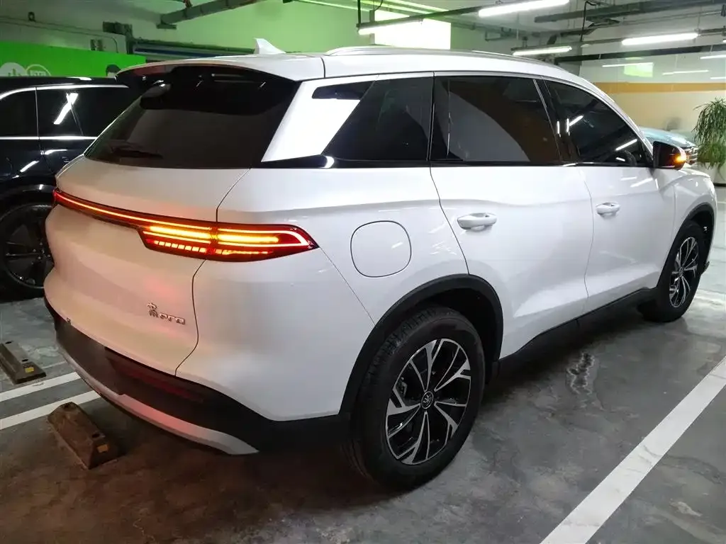 BYD Pro New Energy 2025 из CN, фото 7