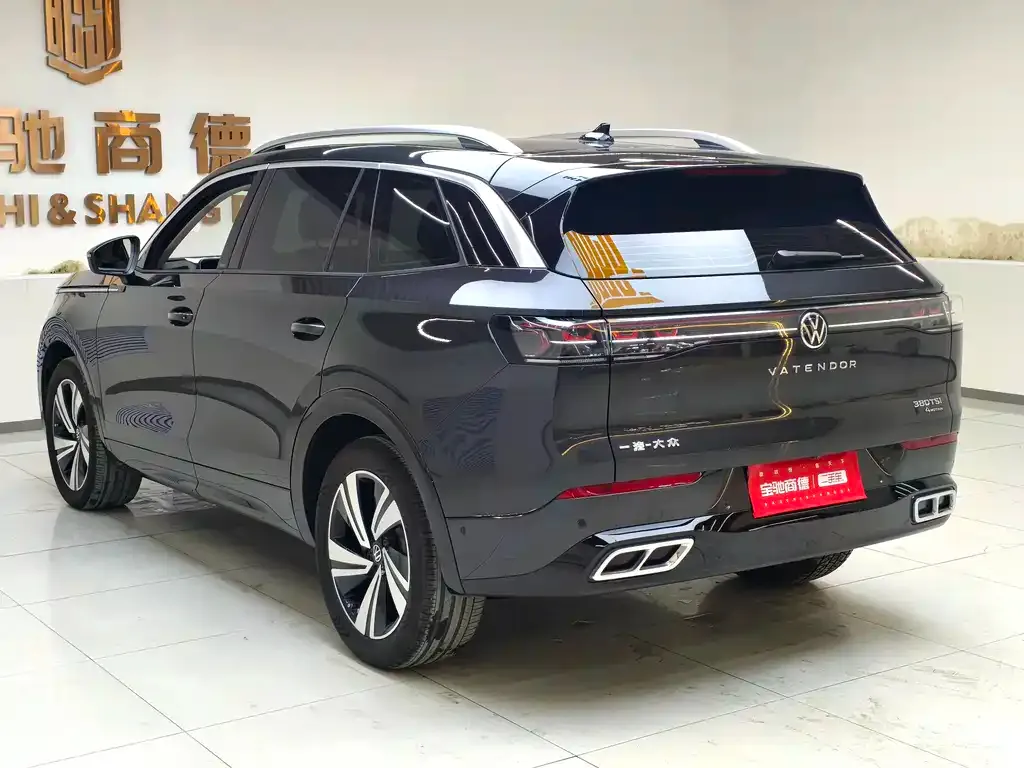 Volkswagen Tavendor 2023 из CN, фото 6