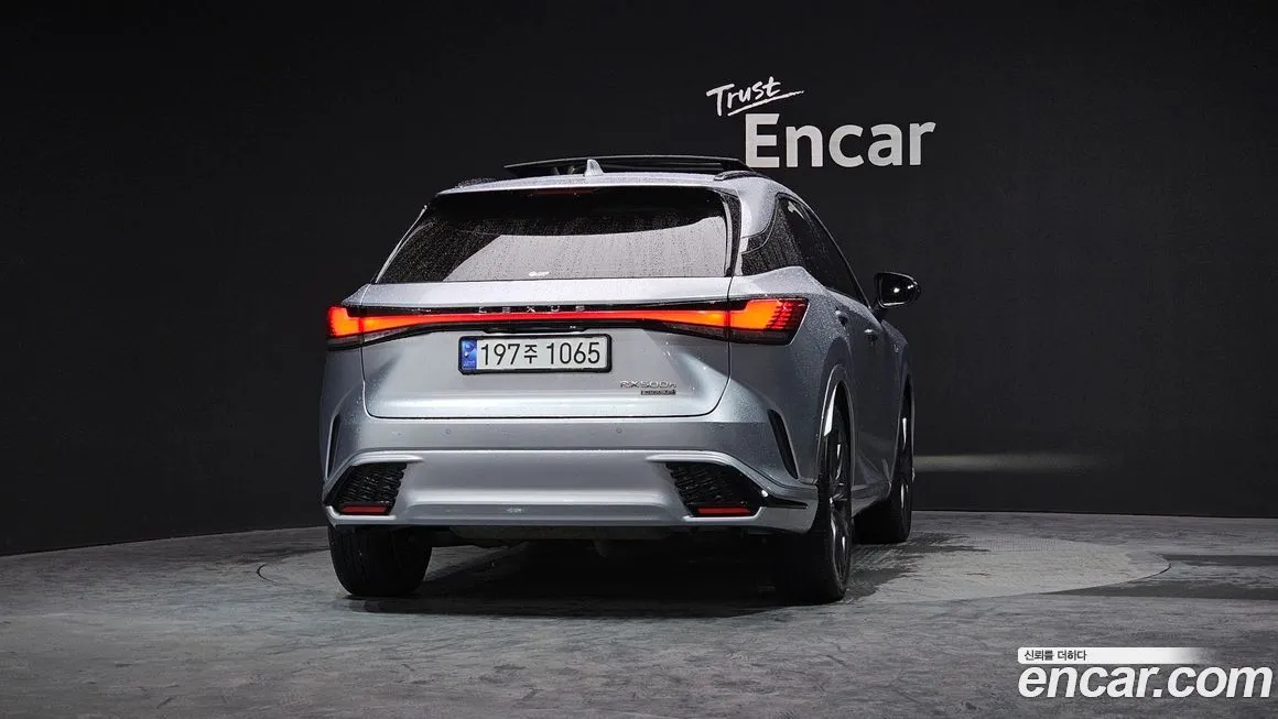 Lexus RX 2023 из KR, фото 4