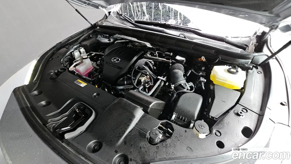 Lexus RX 2023 из KR, фото 6