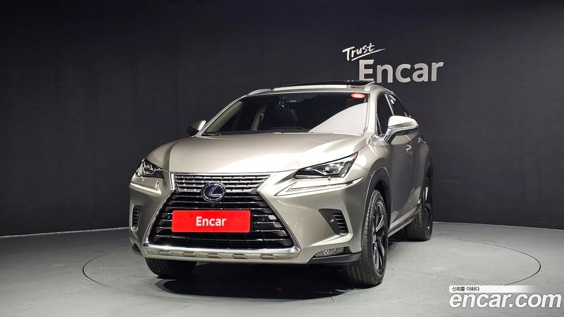 Lexus NX 2021 из KR, фото 3