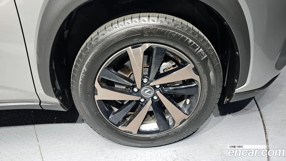 Lexus NX 2021 из KR, фото 5