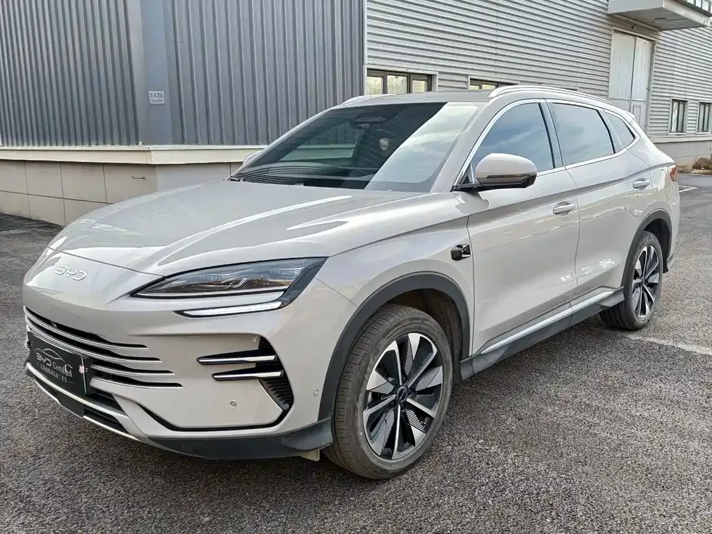 BYD PLUS New Energy 2025 из CN, фото 1