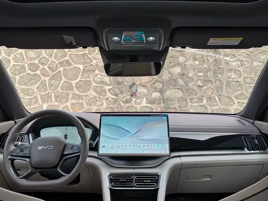 BYD PLUS New Energy 2025 из CN, фото 10