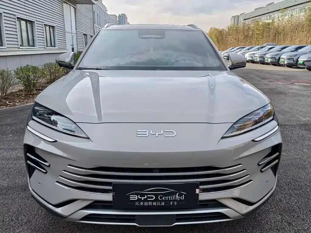 BYD PLUS New Energy 2025 из CN, фото 2