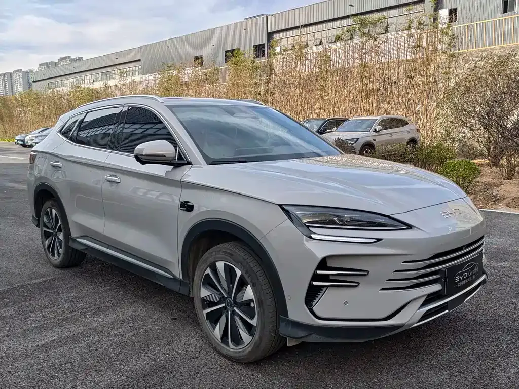 BYD PLUS New Energy 2025 из CN, фото 3