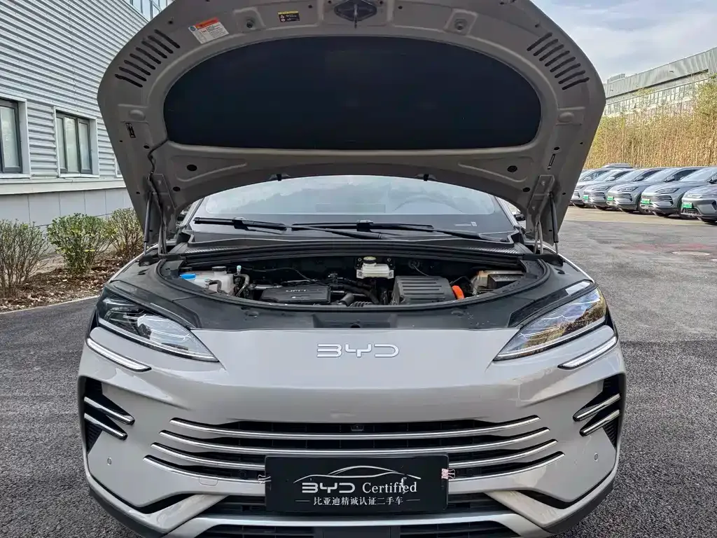 BYD PLUS New Energy 2025 из CN, фото 4