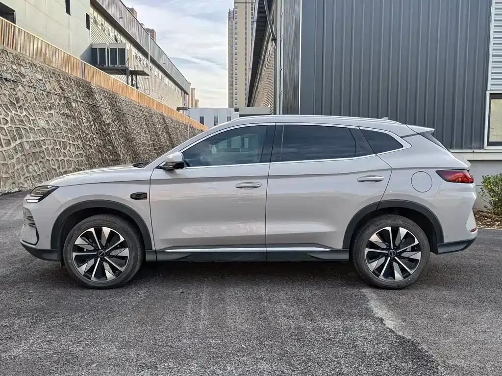 BYD PLUS New Energy 2025 из CN, фото 5