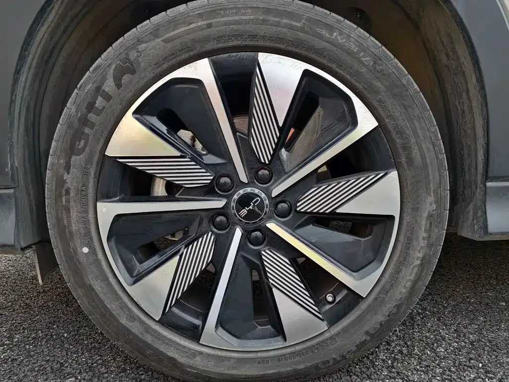 BYD PLUS New Energy 2025 из CN, фото 6