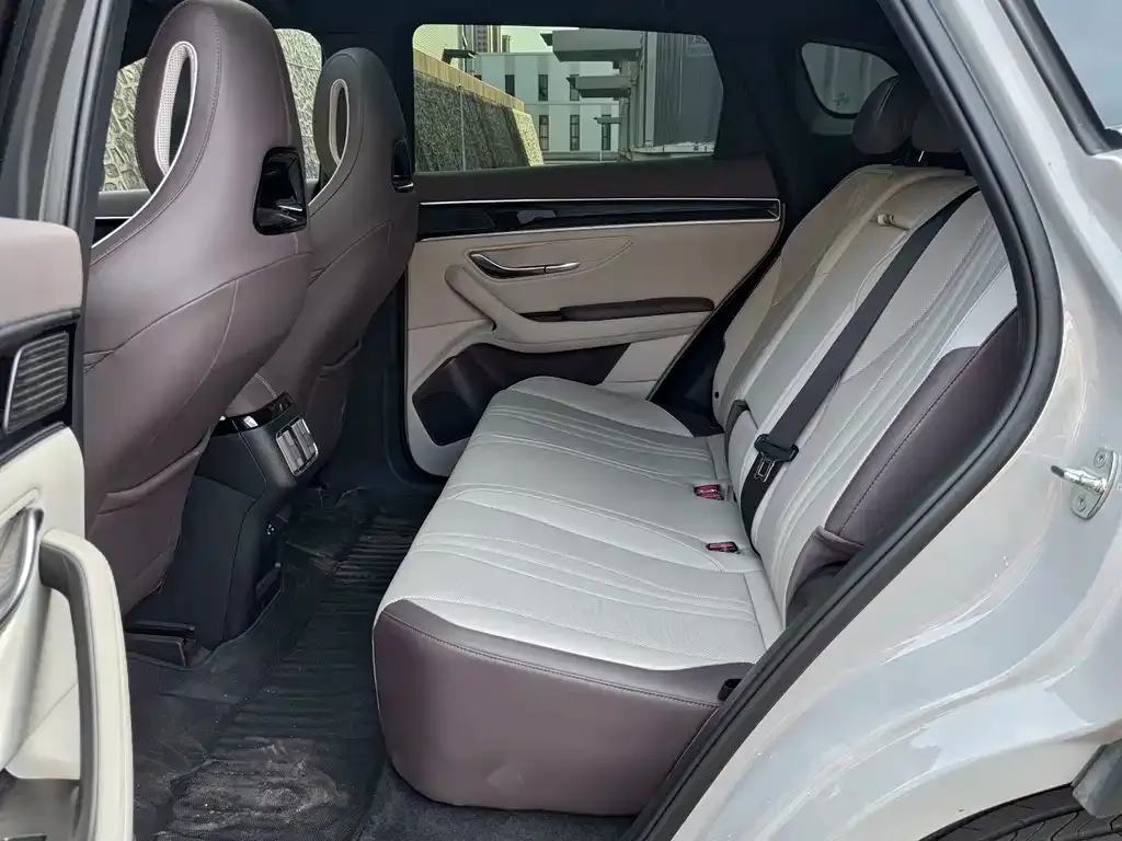 BYD PLUS New Energy 2025 из CN, фото 8