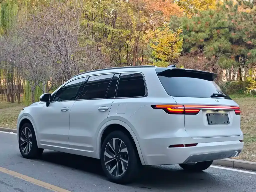 Li Auto ONE 2021 из CN, фото 4