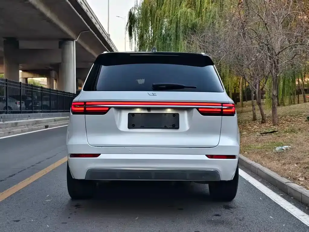 Li Auto ONE 2021 из CN, фото 5