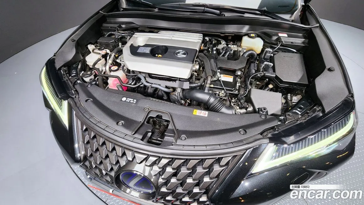 Lexus UX 2021 из KR, фото 6