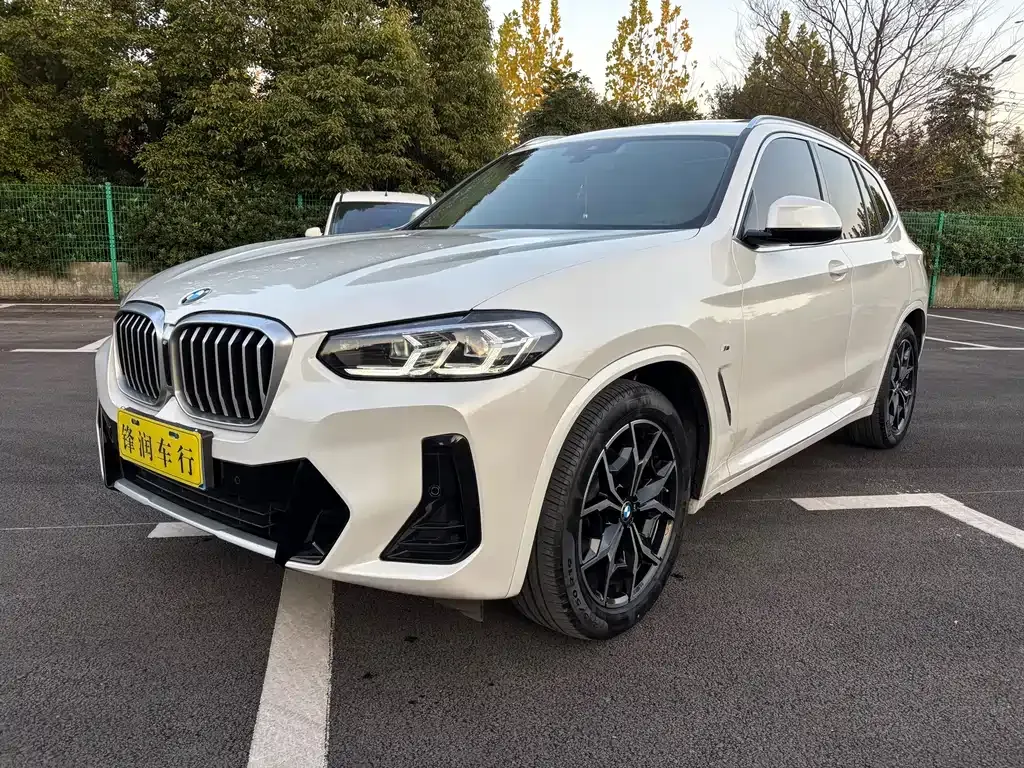 BMW X3 2022 из CN, фото 1