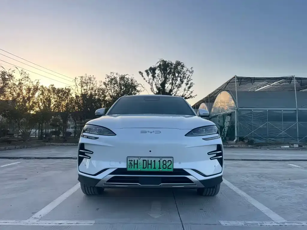 BYD PLUS New Energy — фото 1