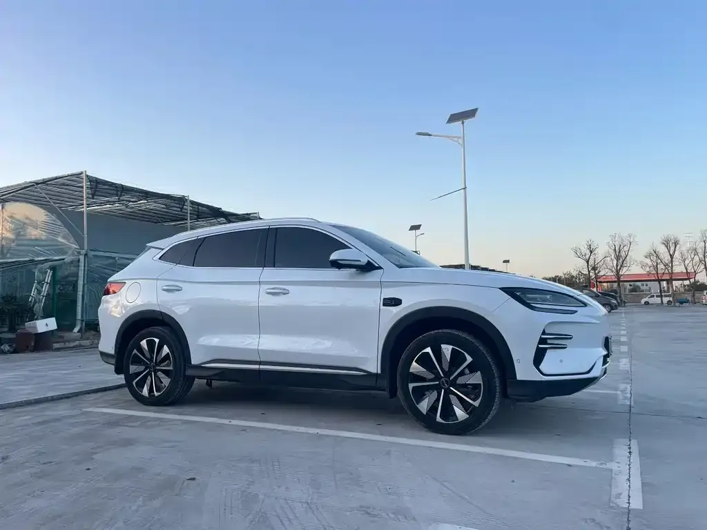 BYD PLUS New Energy — фото 3