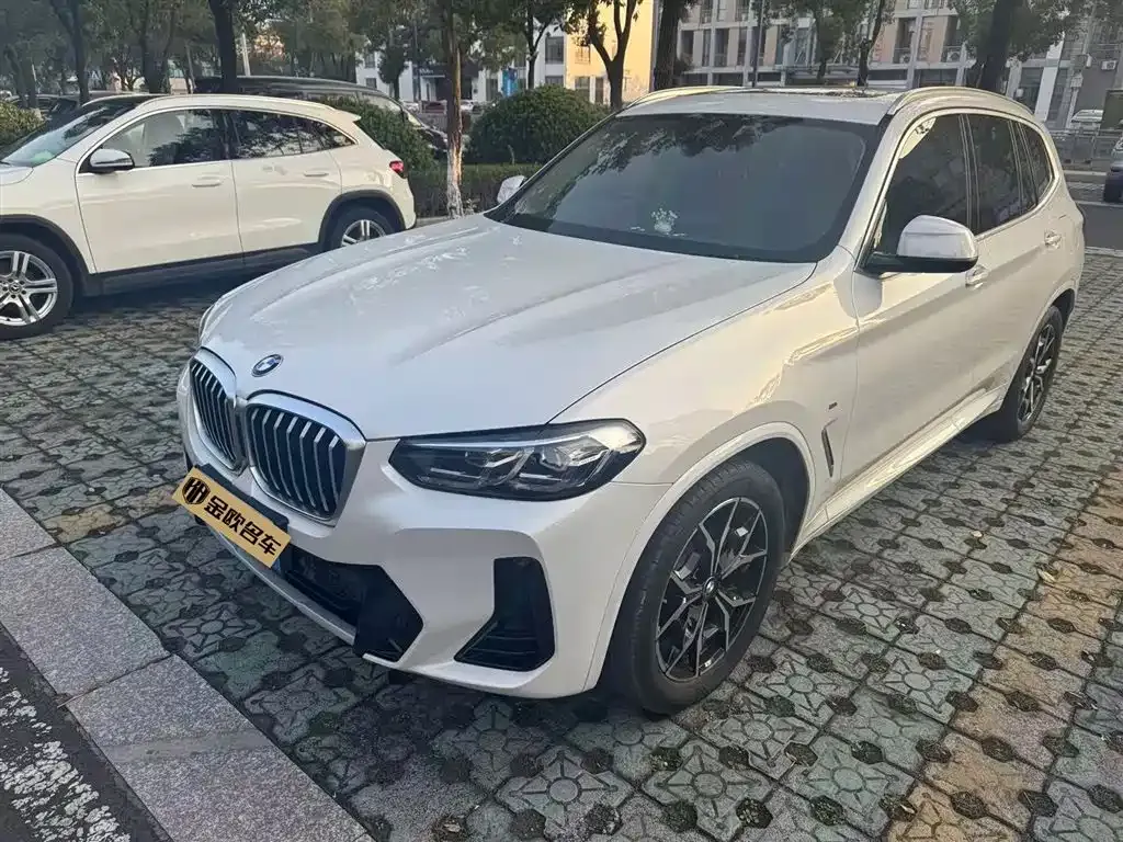 BMW X3 — фото 1